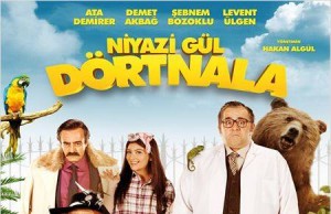 NİYAZİ GÜL DÖRTNALA
