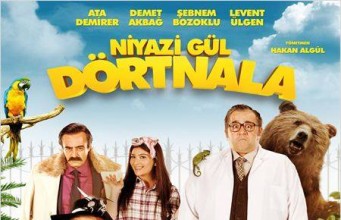 NİYAZİ GÜL DÖRTNALA