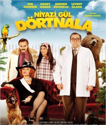 NİYAZİ GÜL DÖRTNALA
