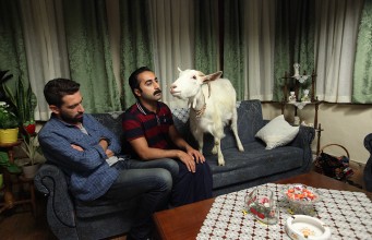 DEDEMİN FİŞİ