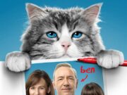 Dokuz Canlı Bay Tüylü