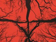 BLAİR CADISI FRAGMANI