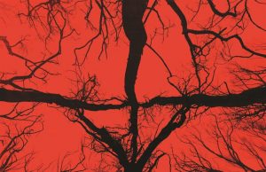 BLAİR CADISI FRAGMANI