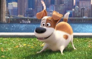 EVCİL HAYVANLARIN GİZLİ YAŞAMI