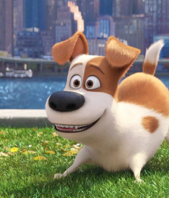 EVCİL HAYVANLARIN GİZLİ YAŞAMI