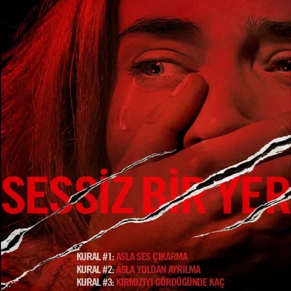 13 Nisan 2018 Vizyon Filmleri