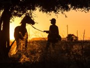 İstanbul’da Festival Zamanı İlk İzlenimler