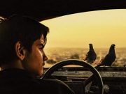 Güvercin Hırsızları