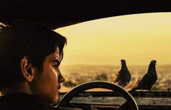 Güvercin Hırsızları