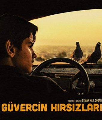 Güvercin Hırsızları