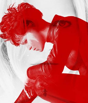 Örümcek Ağındaki Kız