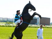 Bizim İçin Şampiyon