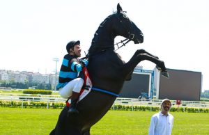 Bizim İçin Şampiyon