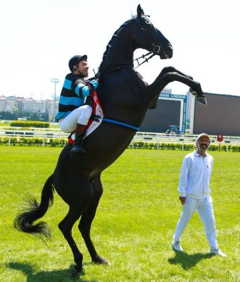 Bizim İçin Şampiyon