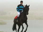 Bizim İçin Şampiyon