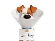 Evcil Hayvanların Gizli Yaşamı 2