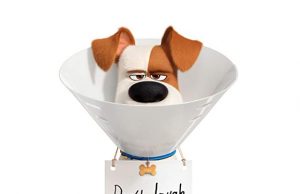 Evcil Hayvanların Gizli Yaşamı 2