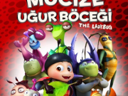 Mucize Uğurböceği