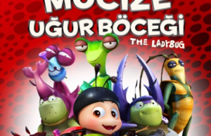 Mucize Uğurböceği