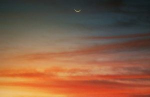 38. Film Festivali Notları 3