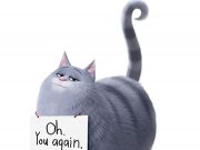 Evcil Hayvanların Gizli Yaşamı 2