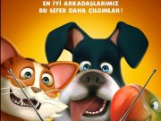 Sevimli Evcil Hayvanlar