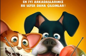 Sevimli Evcil Hayvanlar