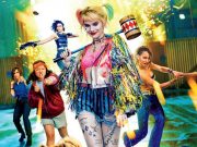 Yırtıcı Kuşlar / Birds of Prey