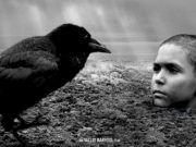 SİYAD, 2020’de Vizyona Giren En İyi Filmleri Seçti