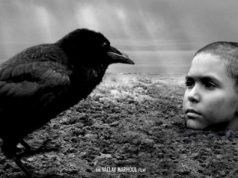 SİYAD, 2020’de Vizyona Giren En İyi Filmleri Seçti