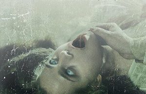 Şeytanın El Kitabı / The Field Guide To Evil