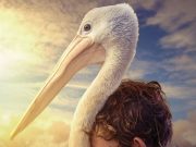 Fırtına Çocuğu / Storm Boy