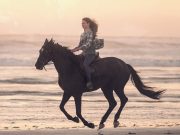 Siyah Güzellik / Black Beauty