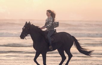 Siyah Güzellik / Black Beauty