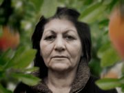 Hurma Zamanı / Xurmalar Yetişen Vaxt