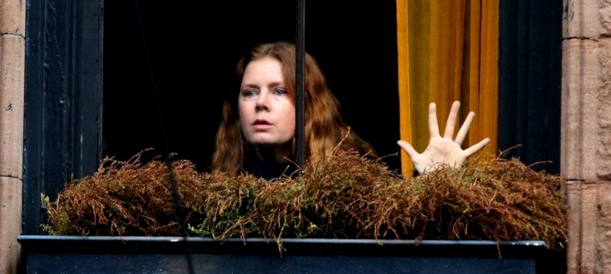 Penceredeki Kadin The Woman In The Window Film Elestirisi Ve Yorumlar Ortakoltuk
