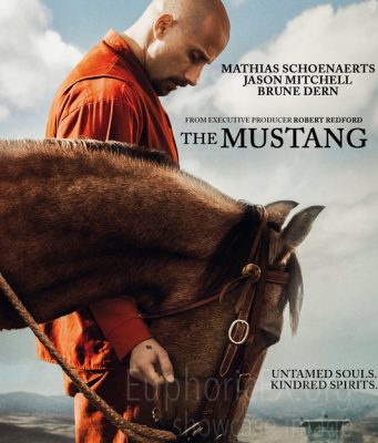The Mustang