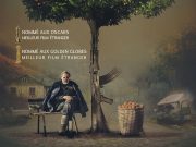 Mandalina Bahçesi / Mandariinid