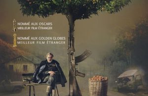 Mandalina Bahçesi / Mandariinid