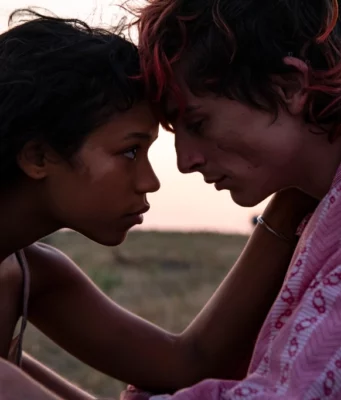 Kemikler ve Her Şey