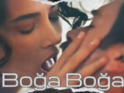 Boğa Boğa