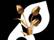 42. İstanbul Film Festivali