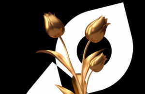 42. İstanbul Film Festivali