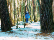 Kötülük Diye Bir Şey Yok