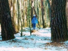 30. Adana Altın Koza Film Festivali