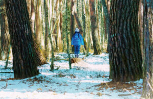 30. Adana Altın Koza Film Festivali