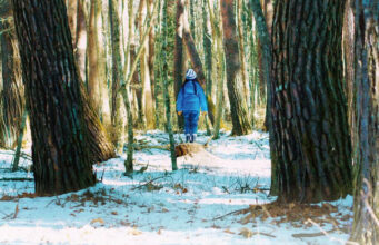 Kötülük Diye Bir Şey Yok