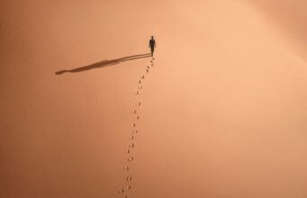 Filmekimi 2023’ün Kısa Bir Muhasebesi