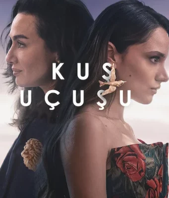 Kuş Uçuşu 2
