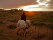 74. Berlin Film Festivali